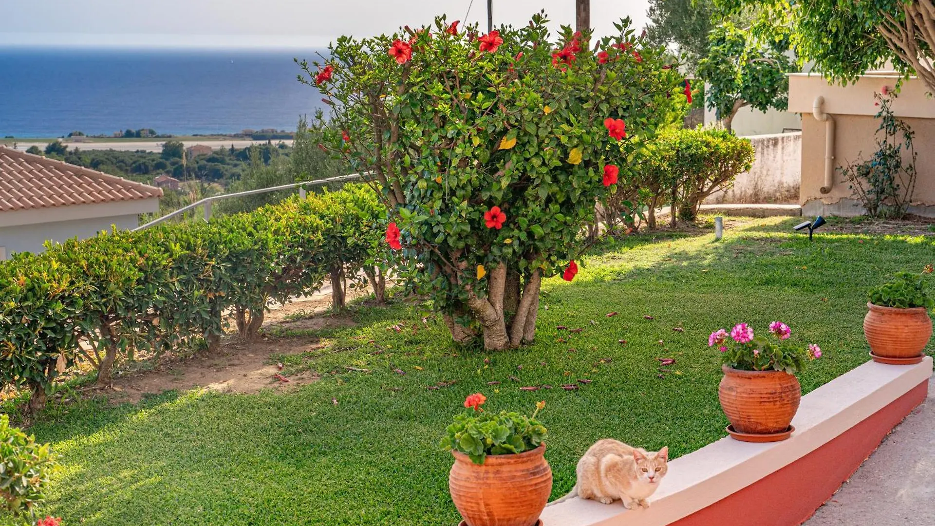 Angelina'S Sea View Villa Argostoli  0*, Argostoli (Kefalonia)